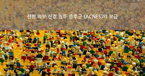 전방 피부 신경 침투 증후군 (ACNES)의 보급