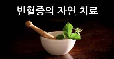 빈혈증의 자연 치료