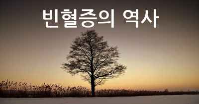 빈혈증의 역사