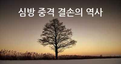 심방 중격 결손의 역사