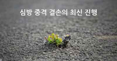 심방 중격 결손의 최신 진행