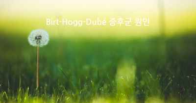 Birt-Hogg-Dubé 증후군 원인