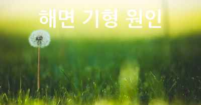 해면 기형 원인