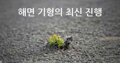 해면 기형의 최신 진행