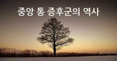 중앙 통 증후군의 역사