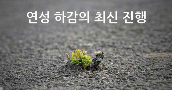 연성 하감의 최신 진행