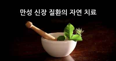 만성 신장 질환의 자연 치료