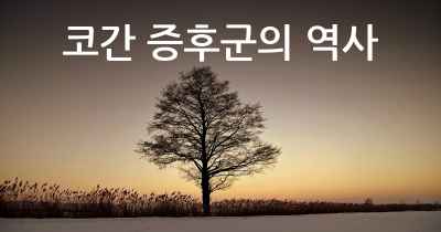 코간 증후군의 역사