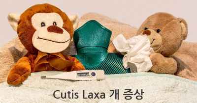 Cutis Laxa 개 증상