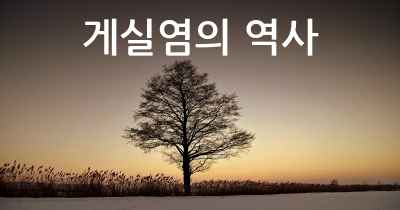 게실염의 역사