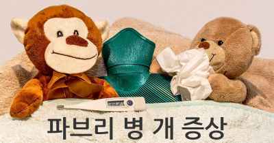 파브리 병 개 증상