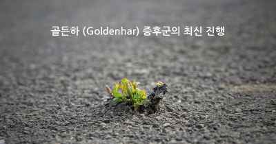 골든하 (Goldenhar) 증후군의 최신 진행