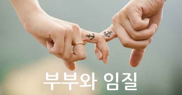 부부와 임질