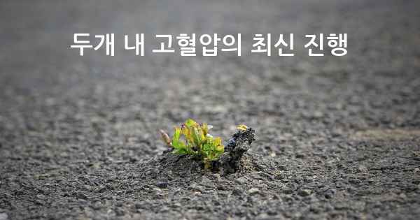 두개 내 고혈압의 최신 진행