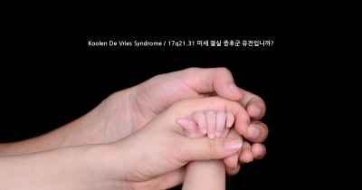 Koolen De Vries Syndrome / 17q21.31 미세 결실 증후군 유전입니까?