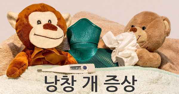 낭창 개 증상