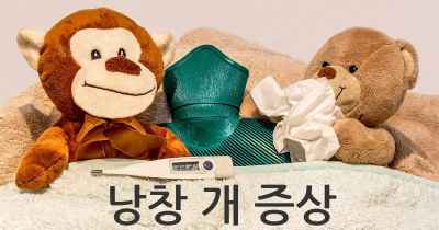낭창 개 증상