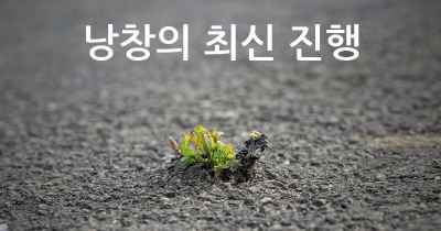 낭창의 최신 진행