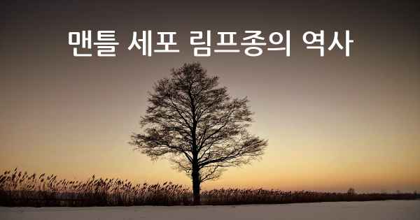 맨틀 세포 림프종의 역사