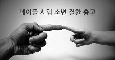 메이플 시럽 소변 질환 충고