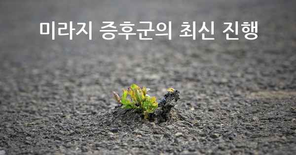 미라지 증후군의 최신 진행