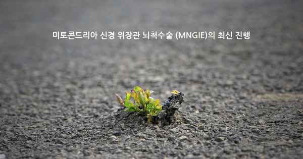 미토콘드리아 신경 위장관 뇌척수술 (MNGIE)의 최신 진행
