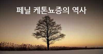 페닐 케톤뇨증의 역사