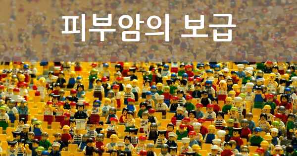 피부암의 보급
