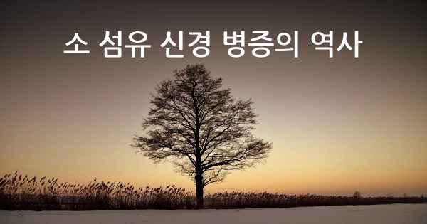 소 섬유 신경 병증의 역사