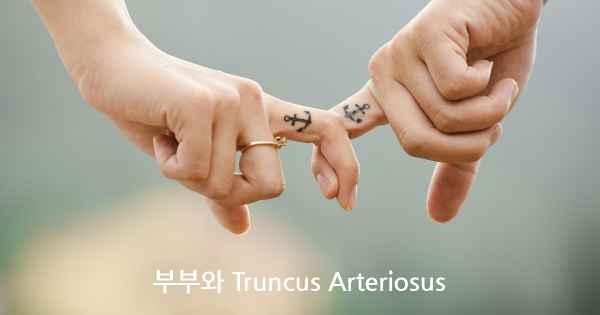 부부와 Truncus Arteriosus