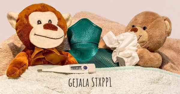 gejala STXPP1