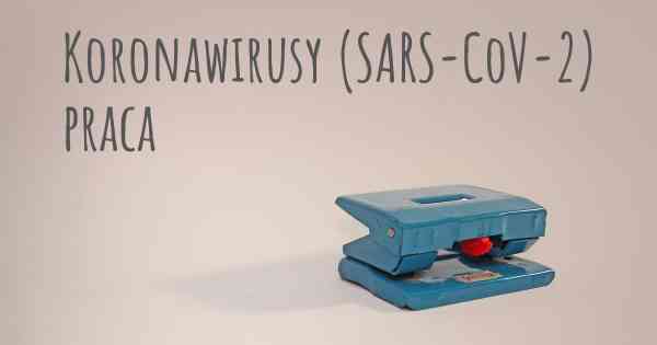 Koronawirusy COVID 19 (SARS-CoV-2) praca