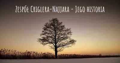 Zespół Criglera-Najjara - Jego historia