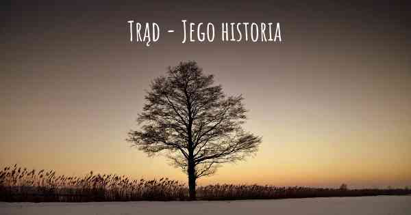 Trąd - Jego historia