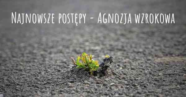 Najnowsze postępy - Agnozja wzrokowa