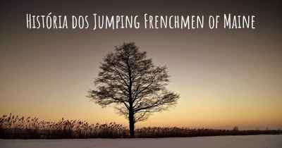 História dos Jumping Frenchmen of Maine