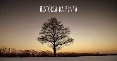 História da Pinta