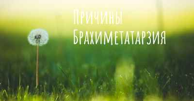 Причины Брахиметатарзия
