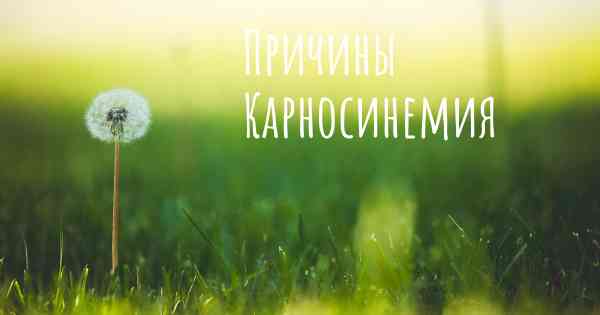 Причины Карносинемия