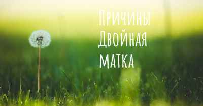 Причины Двойная матка