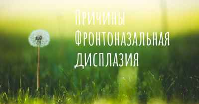 Причины Фронтоназальная дисплазия