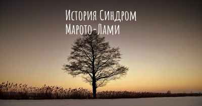 История Синдром Марото-Лами