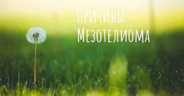 Причины Мезотелиома