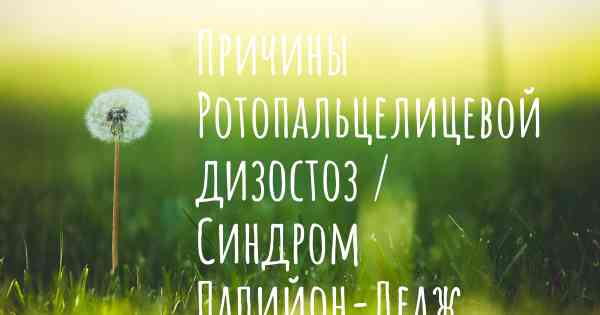 Причины Ротопальцелицевой дизостоз / Синдром Папийон-Леаж - Псома