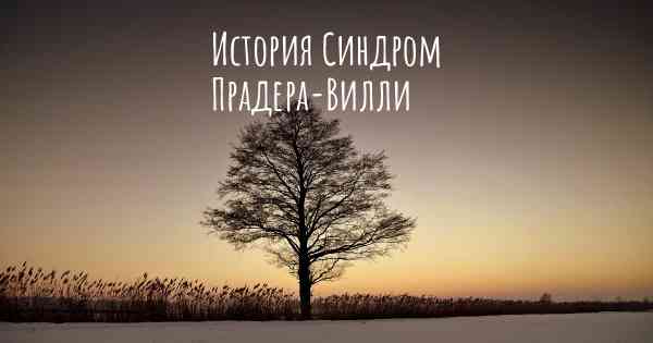 История Синдром Прадера-Вилли