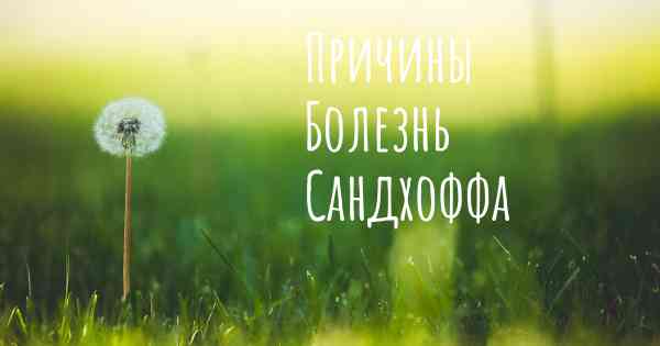 Причины Болезнь Сандхоффа