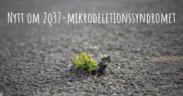 Nytt om 2q37-mikrodeletionssyndromet