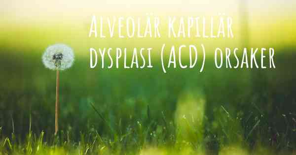 Alveolär kapillär dysplasi (ACD) orsaker