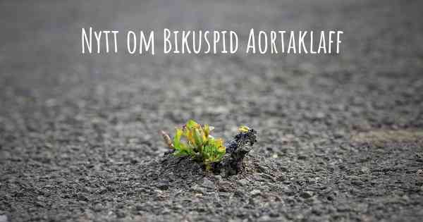Nytt om Bikuspid Aortaklaff