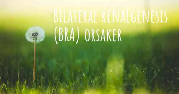 Bilateral renalgenesis (BRA) orsaker